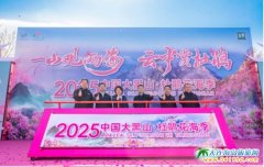 2025ɽNʽĻ,TƱͨ·
